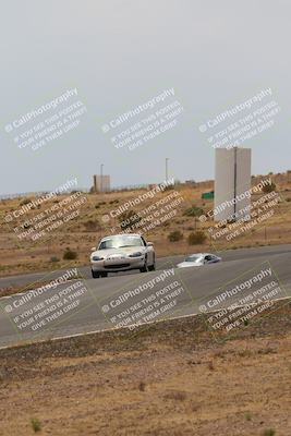 media/May-03-2025-Lucky Dog Racing (Sat) [[206de64b9d]]/Turn 6 (150pm-230pm)/